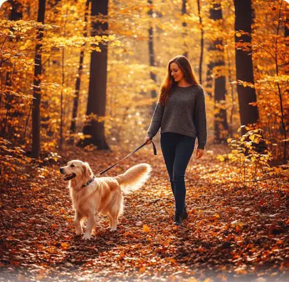 la Promenade de Votre Chien