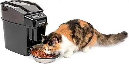 distributeur automatique pour chat